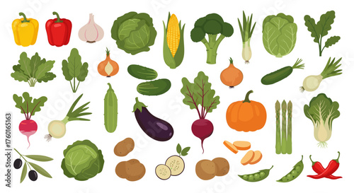 A vibrant collection of fresh organic vegetables displayed in an artistic arrangement.