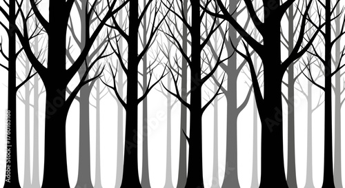 A dense forest of bare trees silhouettes against a hazy background.