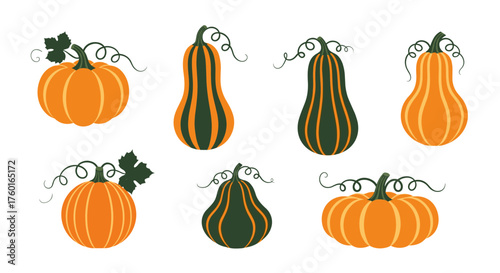 A collection of assorted pumpkins and gourds with decorative vines and leaves.