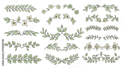 Decorative leafy botanical elements and floral flourishes for design purposes.