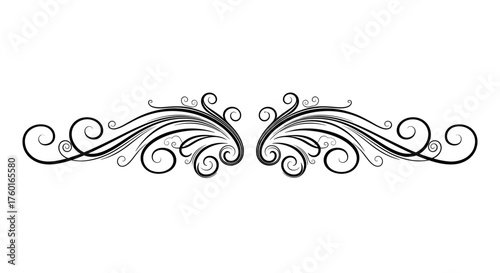 Elegant ornamental flourish with intricate swirling patterns and delicate leaf-like accents.