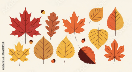 Colorful autumn leaves of various shapes and sizes scattered across a cream background, capturing the essence of the fall season illustration