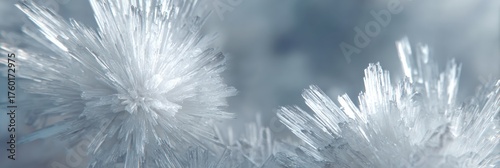 Frost crystals form delicate structures on a cold morning, displaying their shimmering details amid a softly blurred backdrop of winter scenery.