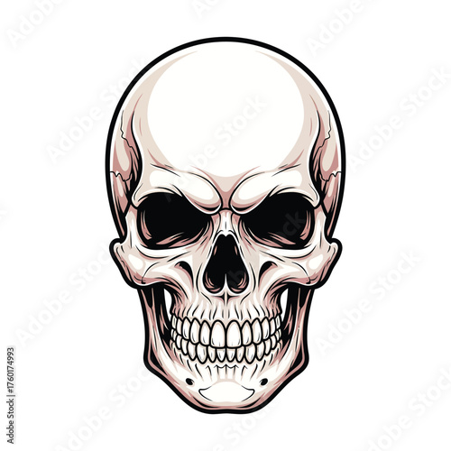 Detailed illustration of a human skull with dark eye sockets