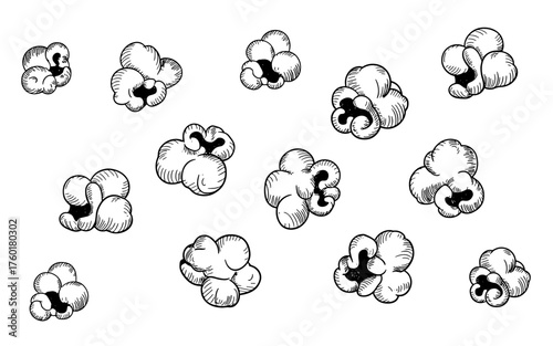 black and white sketch of multiple popped popcorn kernels scattered, snack food drawing for design or packaging.