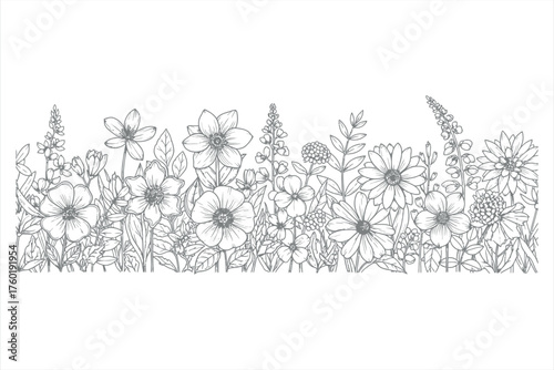 Wildflower Border Line Art