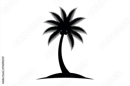Palm Tree Silhouette