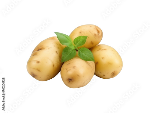 Four raw potatoes with green basil leaves isolated on a black background food photography, Isolated On Transparent Background