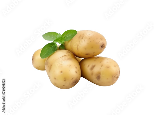 Four raw potatoes with green basil leaves on a black background food photography, Isolated On Transparent Background