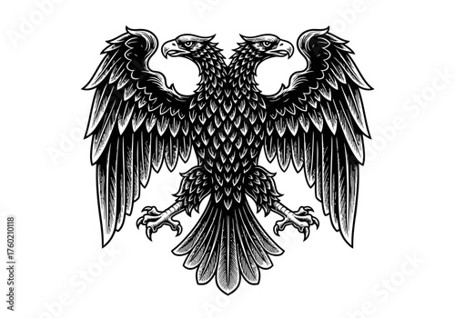 Double headed eagle with two heads possibly a Roman Russian Byzantine or imperial heraldic symbol