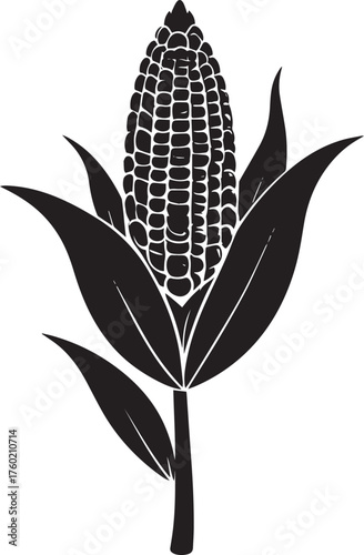  Harvest Corn Silhouette Vector Illustration