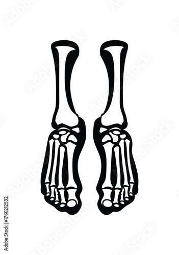 Two stylized feet skeletons present a anatomical study on a white background