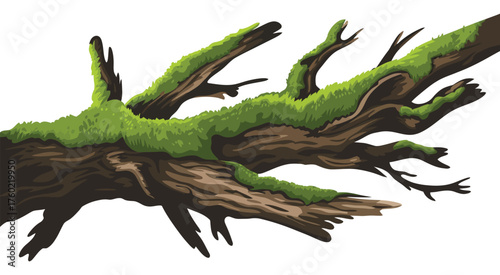 Mossy logs in natural woodland environment, ideal for forest floor textures, earthy background