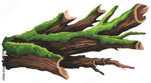 Mossy logs in natural woodland environment, ideal for forest floor textures, earthy background