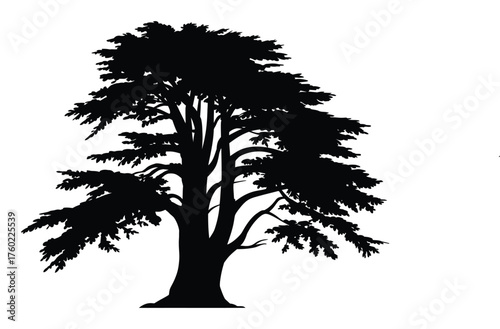 Cypress tree silhouette artwork featuring slender pointed form and tranquil sky – timeless natural beauty illustration