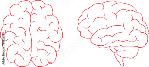 Simple Line Drawings of Human Brain Top and Side Views
