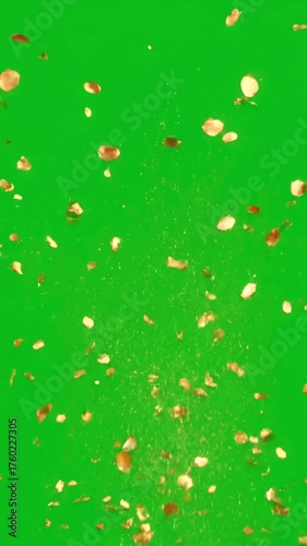 Luxurious Shimmering Effect with golden bidirectional confetti explosion on chroma key distortion, green screen overlay, glitch, static noise, scan lines black background, 4k animated video loop