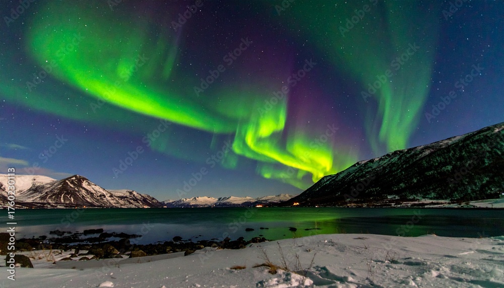 Naklejka premium Aurora Borealis Northern Lights Over Arctic Landscape