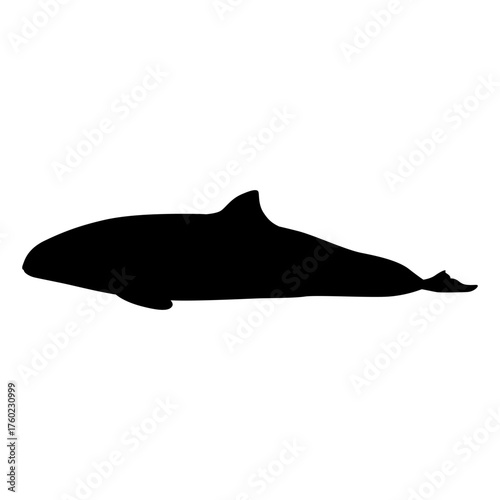 sea animal silhouette porpoise