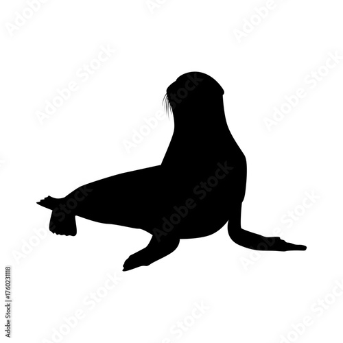 sea animal silhouette sea lion