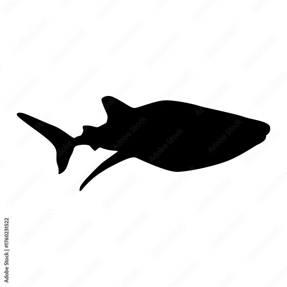 Obraz premium sea animal silhouette whale shark