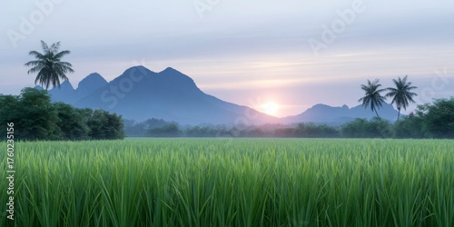 a serene rice field at sunrise, with the sun rising behind mountains
