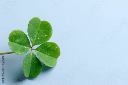 a four leaf clover on a light blue background, symbolizing good luck and st patrick day.