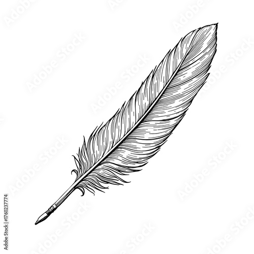 Vintage Hand Drawn Feather Illustration | Quill Pen Design | Elegant Nature Bird Feather Sketch