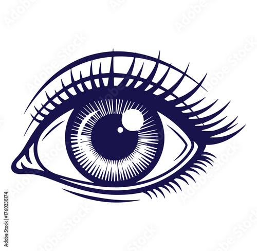 Detailed artistic illustration of a human eye with long eyelashes and intricate details