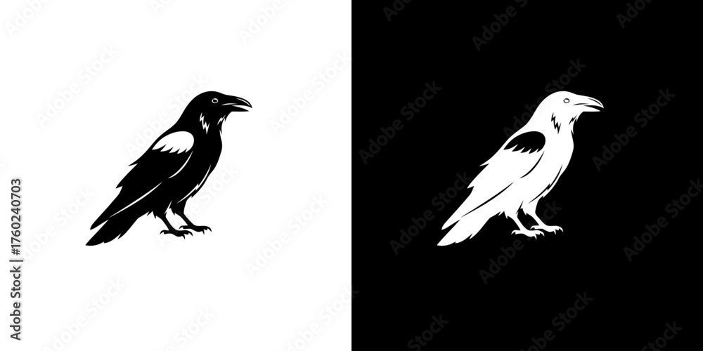 Fototapeta premium Black and white crow silhouettes on contrasting