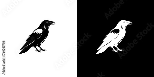 Black and white crow silhouettes on contrasting