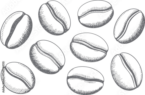 Hand Drawn Coffee Beans in Black and White Sketch Style
