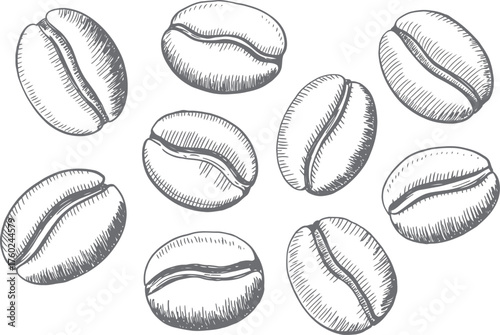 Hand Drawn Coffee Beans in Black and White Sketch Style