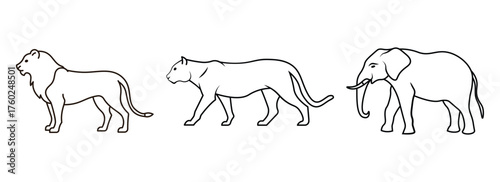 Photography wild animals line art set lion leopard elephant vector minimal outline drawing z