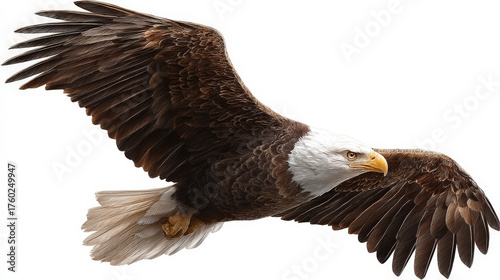 Majestic bald eagle soaring with wings spread wide against a clean white background