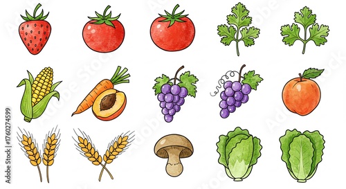 Illustration of various fruits, vegetables, and grains on a white background.