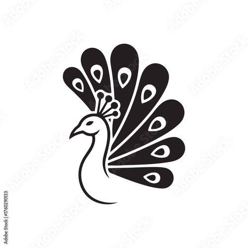 Minimalist peacock logo for sale on white back ground