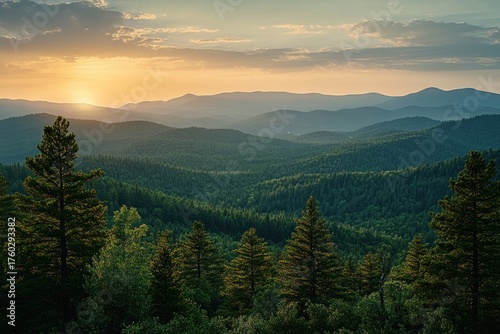 Sunset casting golden light over dense forest with pine trees and rolling mountain ranges in the distance under a cloudy sky