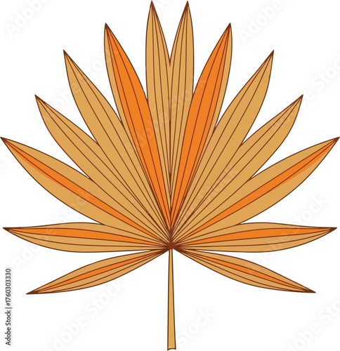 Autumn palm frond dried tropical leaf isolated tropical plant element vector