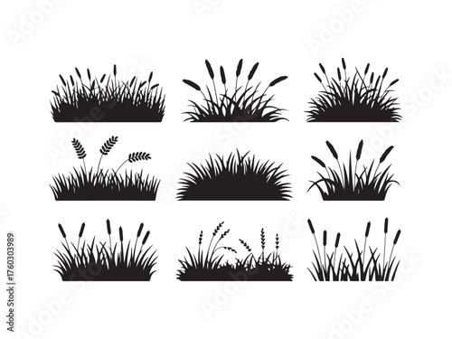 Cattails Silhouette Set Reed Wetland Plant Isolated Grass Background