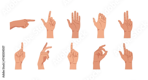 Diverse Hand Gestures Vector Illustrations of Human Hands in Various Poses and Actions