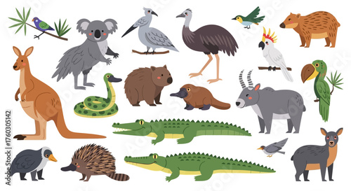 Australian Wildlife Native Animals Vector Illustration