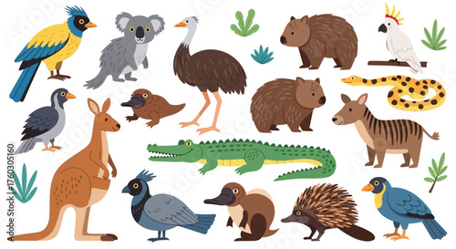Australian Animals Illustration Native Wildlife Icons Collection