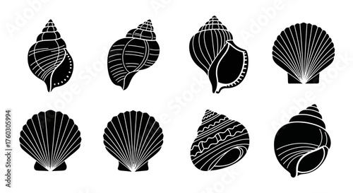 Stylized Black and White Vector Illustration of Various Seashells