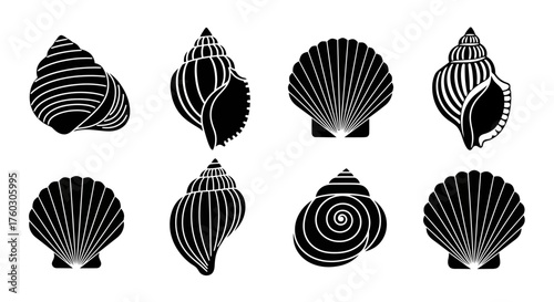 Variety of Seashell Shapes in Black and White Silhouette