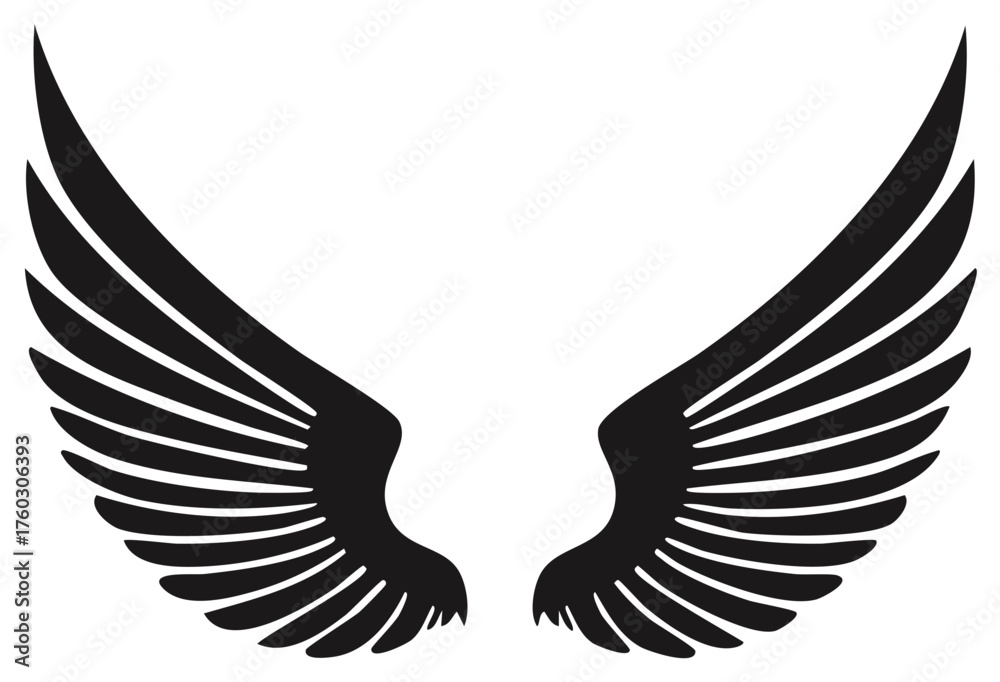 Obraz premium Majestic Pair of Wings Spreading Out in Symmetrical Fashion Elegant Feathered Design in Black and White