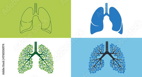 Lungs Illustration Human Respiratory System Anatomy