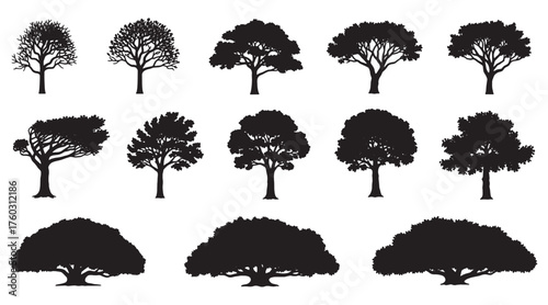 silhouette tree line drawing collection, side view outline tree set, minimal graphic elements for architecture and landscape design, vector illustration in stroke style on transparent background
