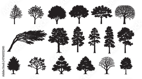 silhouette tree line drawing collection, side view outline tree set, minimal graphic elements for architecture and landscape design, vector illustration in stroke style on transparent background