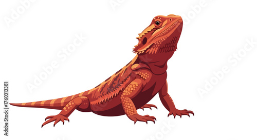 Orange Bearded Dragon Illustration on White Background